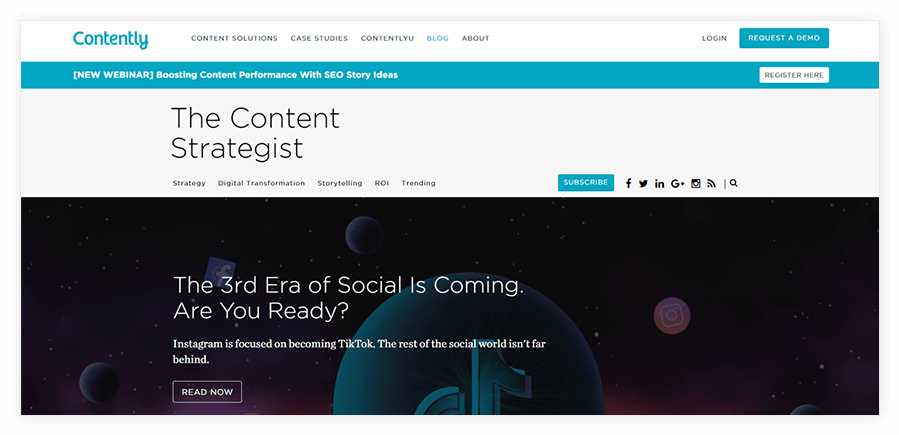 The Content Strategist