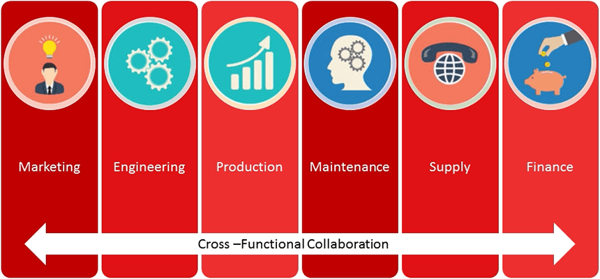 Cross-Functional Collaboration