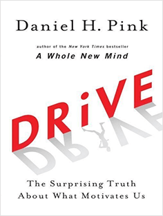 Drive Book by Daniel H Pink