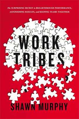 Work Tribes - The Team Building Book by Shawn Murphy