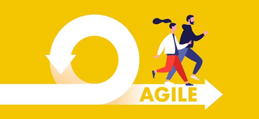 Adopt Agile Principles