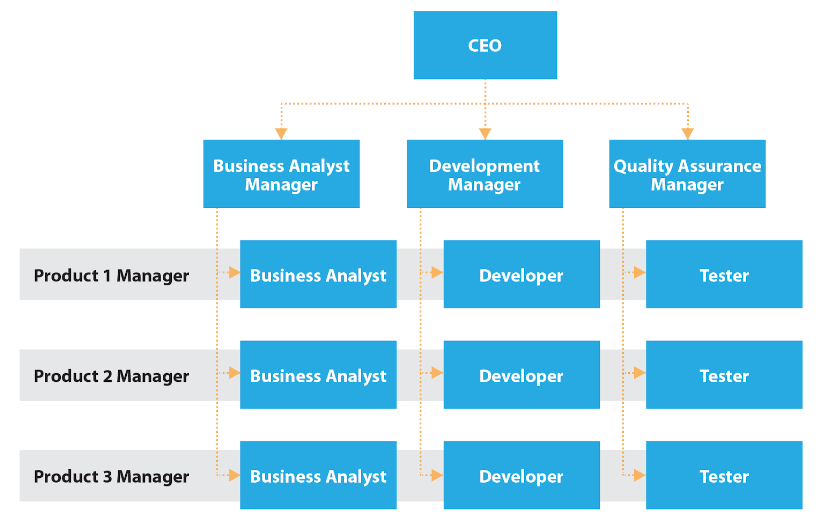 A sample of a matrix organizational structure