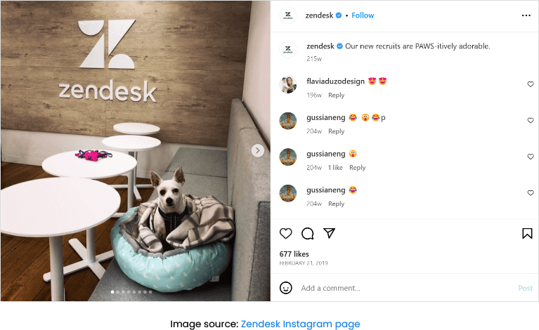Zendesk Instagram page