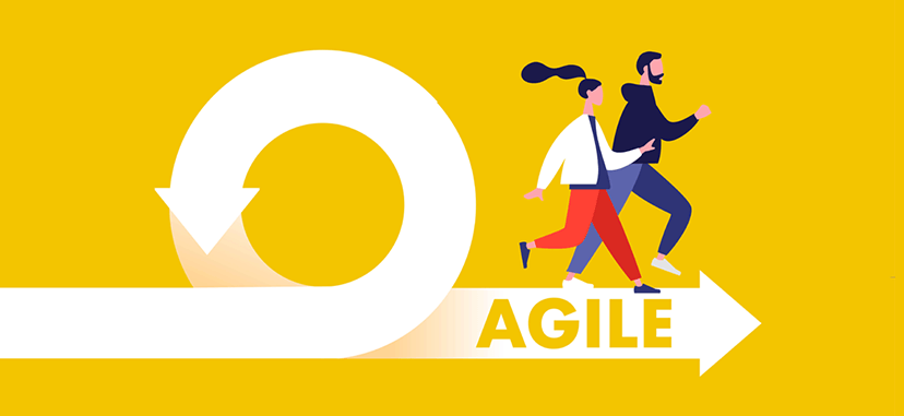 What Are the Principles of the Agile Manifesto